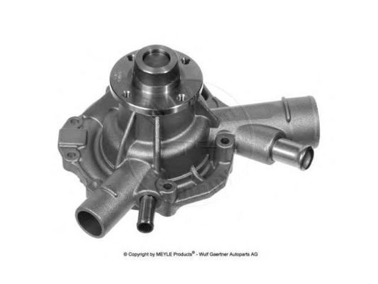 1112004301 Parti del motore Pompa d'acqua