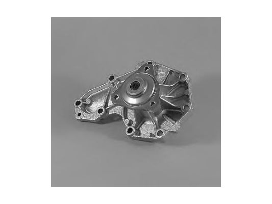 7701462809 Parti del motore Pompa d'acqua
