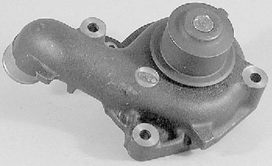 5020242 Parti del motore Pompa d'acqua