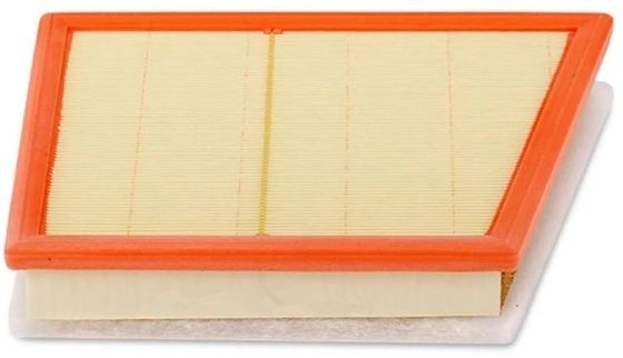 13718513944 Parti del motore Filtro dell'aria