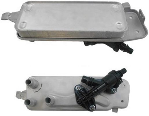 17217638678 Parti del motore BMW Oil Cooler
