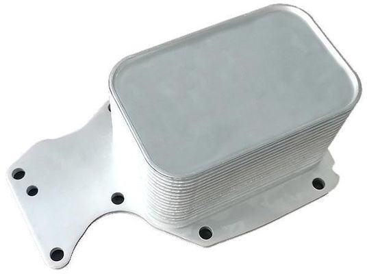 11428574005 Parti del motore BMW Oil Cooler