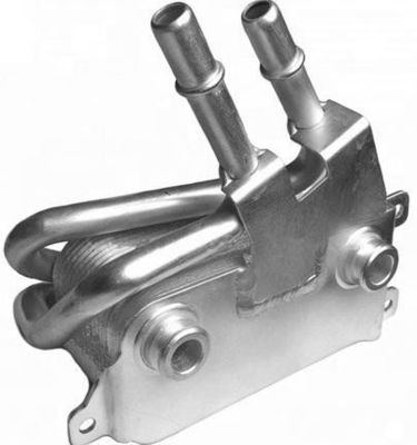 17217541058 Parti del motore BMW Oil Cooler