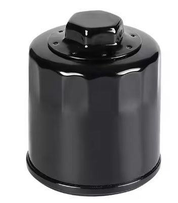 030115561P Filtro dell'olio per motori per Audi A2, VW POLO, SEAT IBIZA IV ST (6J8, 6P8), IBIZA Mk IV ST (6J8, 6P8), SKODA F