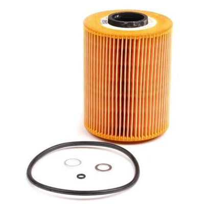 11421730389 Parti del motore BMW Filtro d'olio per BMW 3 (E36), 5 (E34)
