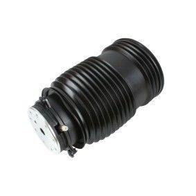 Mercedes Benz 2053200125 Parti del telaio Air Spring